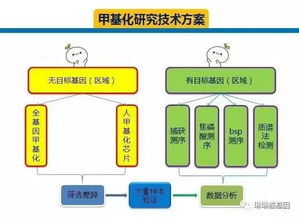 长距离关系的维系技巧是什么样的